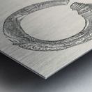 Etruscan design. 1888 edition Lornement Polychrome by Albert Racine 1825–1893. Metal print