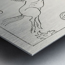 Sacred horse illustration. 1888 edition Lornement Polychrome by Albert Racine 1825–1893. Metal print