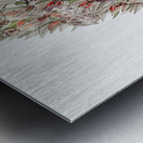 Leafy spiked orchis from Edwards Botanical Register 1829-1847  by Sydenham Edwards John Lindley and James Ridgway. Metal print