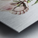 atiny calochortus from Edwards Botanical Register 1829-1847  by Sydenham Edwards John Lindley and James Ridgway. Metal print