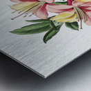 Changeable pontic azalea from Edwards Botanical Register 1829-1847  by Sydenham Edwards John Lindley and James Ridgway. Metal print