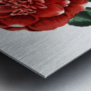 Mr. Reevess crimson camellia from Edwards Botanical Register 1829-1847  by Sydenham Edwards John Lindley and James Ridgway. Metal print