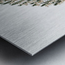 Bell-bearing heath from Edwards Botanical Register 1829-1847  by Sydenham Edwards John Lindley and James Ridgway. Metal print