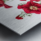 Chilian Guem from Edwards Botanical Register 1829-1847  by Sydenham Edwards John Lindley and James Ridgway. Metal print