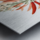 Naked-flowering Erythrina from Edwards Botanical Register 1829-1847  by Sydenham Edwards John Lindley and James Ridgway. Metal print