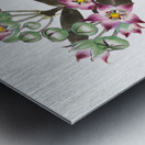 Tall calotropis from Edwards Botanical Register 1829-1847  by Sydenham Edwards John Lindley and James Ridgway. Metal print