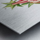 Gloxinia flower varieties from Edwards Botanical Register 1829-1847  by Sydenham Edwards John Lindley and James Ridgway. Metal print