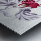 Crimson-lipped cattleya from Edwards Botanical Register 1829-1847  by Sydenham Edwards John Lindley and James Ridgway. Metal print