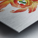 Meadow habranthus from Edwards Botanical Register 1829-1847  by Sydenham Edwards John Lindley and James Ridgway. Metal print