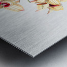 Copper-coloured Dendrobium from Edwards Botanical Register 1829-1847  by Sydenham Edwards John Lindley and James Ridgway. Metal print