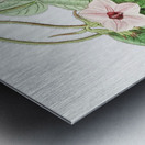 Mr.Aitons ipomoea from Edwards Botanical Register 1829-1847  by Sydenham Edwards John Lindley and James Ridgway. Metal print