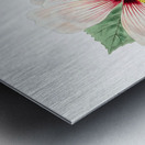 Marsh hibiscus from Edwards Botanical Register 1829-1847  by Sydenham Edwards John Lindley and James Ridgway. Metal print