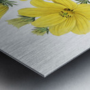 Golden coreopsis from Edwards Botanical Register 1829-1847  by Sydenham Edwards John Lindley and James Ridgway. Metal print