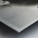 Leaping carp 1900 - 1930 by Ohara Koson 1877-1945. Metal print