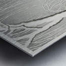 Sparrows on snowy berry bush 1900-1945 by Ohara Koson 1877-1945 Metal print