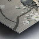 Tits on Cherry Branch 1900-1910 by Ohara Koson 1877-1945 Metal print