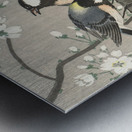 Tits on Cherry Branch 1900-1910 by Ohara Koson 1877-1945 Metal print