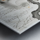 Monkey on a tree branch 1900-1930 by Ohara Koson 1877-1945. Metal print