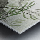 Cicada on tree 1900 - 1936 by Ohara Koson 1877-1945. Metal print