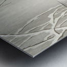 Emerge on snowy branch 1900 - 1930 by Ohara Koson 1877-1945. Metal print