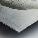 Two carp fish 1900 - 1910 by Ohara Koson 1877-1945. Metal print