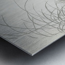 Five chicks 1900 - 1936 by Ohara Koson 1877-1945. Metal print