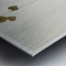 Bird in downward flight 1900 - 1930 by Ohara Koson 1877-1945. Metal print