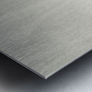 Two ducks on snowy reed 1900 - 1930 by Ohara Koson 1877-1945. Metal print