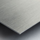 Ring sparrows and insect 1900 - 1936 by Ohara Koson 1877-1945. Metal print