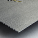 Kwak on branch 1900 - 1936 by Ohara Koson 1877-1945. Metal print