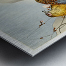 Pheasant couple and plum blossom 1900 - 1930 by Ohara Koson 1877-1945. Metal print