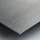 Two playing monkeys 1900 - 1930 by Ohara Koson 1877-1945. Metal print