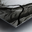 Bats under the full moon 1900-1936 by Ohara Koson 1877-1945. Metal print