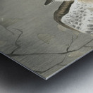 Long-eared owl in ginkgo 1900 - 1930 by Ohara Koson 1877-1945. Metal print