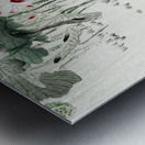 Frog and tadpoles 1900 - 1930 by Ohara Koson 1877-1945. Metal print