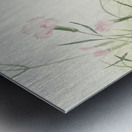 Moorhen at flowering plant 1900 - 1936 by Ohara Koson 1877-1945. Metal print