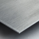 Two ring sparrows in the rain 1900 - 1930 by Ohara Koson 1877-1945. Metal print