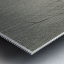 Moorhills between reeds 1900 - 1930 by Ohara Koson 1877-1945. Metal print