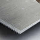 Tree sparrow with boy 1900 - 1936 by Ohara Koson 1877-1945. Metal print