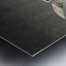 Two pigeons with falling ginkgo leaves 1900 - 1930 by Ohara Koson 1877-1945. Metal print