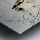 Mallard the head under water 1900 - 1930 by Ohara Koson 1877-1945. Metal print