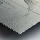 Carp 1900 - 1936 by Ohara Koson 1877-1945. Metal print