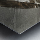 Downward flying eagle 1900 - 1930 by Ohara Koson 1877-1945. Metal print