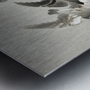 Starlings in the rain 1900 - 1930 by Ohara Koson 1877-1945. Metal print