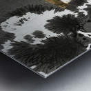 Hawk with sparrow 1900 - 1930 by Ohara Koson 1877-1945. Metal print