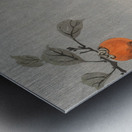 Monkey in cockatoo 1900 - 1930 by Ohara Koson 1877-1945. Metal print