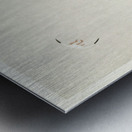 Gull on rock 1900 - 1910 by Ohara Koson 1877-1945. Metal print