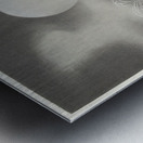 Gull on rock 1900 - 1910 by Ohara Koson 1877-1945. Metal print