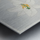 Lilies Ohara  1920 - 1930 by Ohara Koson 1877-1945. Metal print