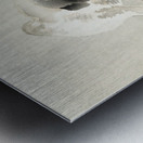 Young dog 1900 - 1930 by Ohara Koson 1877-1945. Metal print